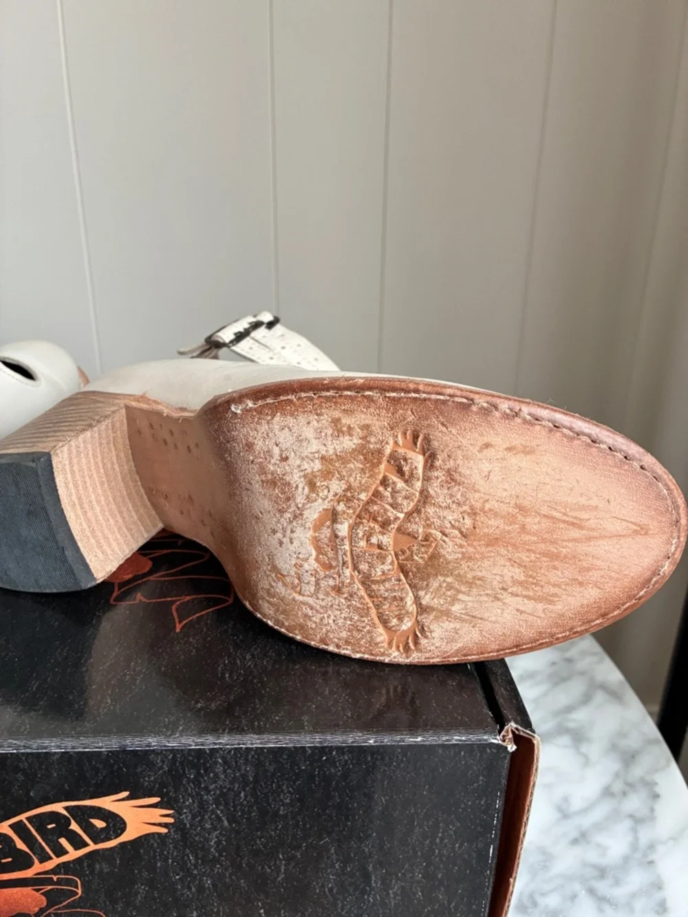 Freebird Randi - Picture 4 of 6